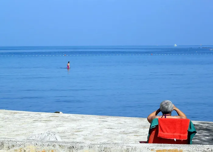 With A Parking Space - 22540 Apartamento Umag
